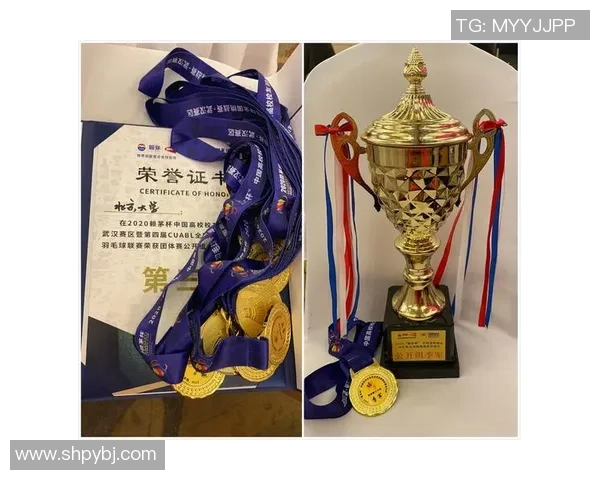 武汉羽毛球队展现强大实力大满贯赛事点评与分析